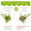 Nagomi Matcha Té Verde Matcha Orgánico Ceremonial Nagomi 100
