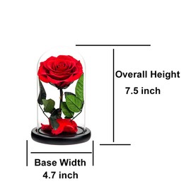 Preserved Rose Red Rose in Glass Dome Real Roses Preserved Flowers, Valentines Day Gifts for Her Birthday Gifts for Wife Mother's Day Gifts Christmas Day Gifts