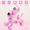 fisca Remote Controlled Robot Cat for Children - RC Stunt