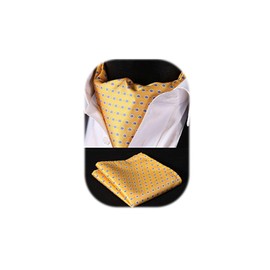 Hisdern Men's Cravat, Floral Jacquard Woven Ascot Tie Set -