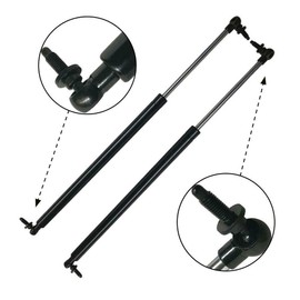 VioletLisa 2pcs Tailgate Lift Supports Rear Side Gas Charged Shock Strut Pro for Chrysler for PT Cruiser 2001-2008 107-1551