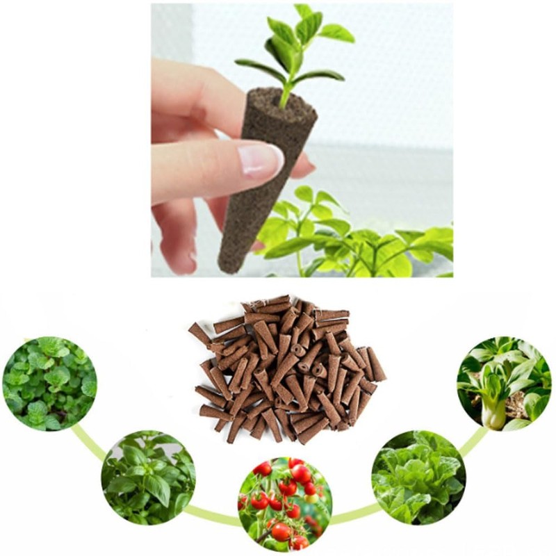 Armastuse Propagation Sponges, Pack of 50 Replacement Breeding Sponges for