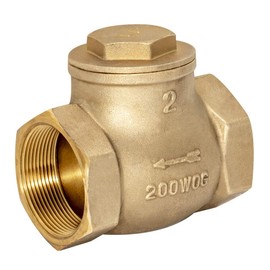 Eastman Brass Swing Check Valve, 2 Inch IPS, Brass Plumbing Fitting, 20431LF
