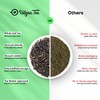Udyan Tea Darjeeling Summer Glory Black Tea, 100g (50 Cups)