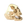 JAJAFOOK Jewelry Men's Stainless Steel Gold Tone Gothic Skull Rings,