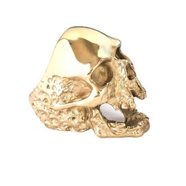 JAJAFOOK Jewelry Men's Stainless Steel Gold Tone Gothic Skull Rings, Domineering, Biker, High Polished