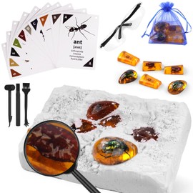 HOTUT Amber Gemstone Dig Kit, 24 PCS Gemstones Excavation Kits for Kids, Gem Stones Digging Kit Set, Geology Educational Gifts, Educational Science Kits for Boys and Girls