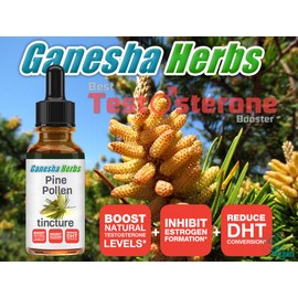 GANESHA HERBS PINE POLLEN TINCTURE MAXIMUM STRENGTH! BOOST TEST 2 Ounces 100% NATURAL
