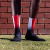 Sox Italy Flag Socks, Multi-colour