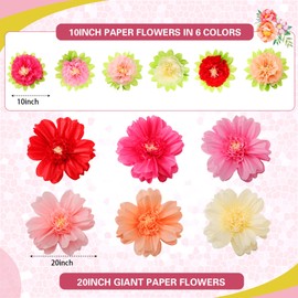 TaoBary 36 Pcs Large Colorful Tissue Paper Flowers 20" Giant Fiesta Paper Pom Poms Classroom Wall Decor Birthday Wedding Engagement Backdrop Centerpiece Tea Party Supplies (Pink,Beige,Light Orange)
