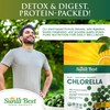 Sunlit Best USDA Organic Premium Chlorella Tablets 1000 Count |