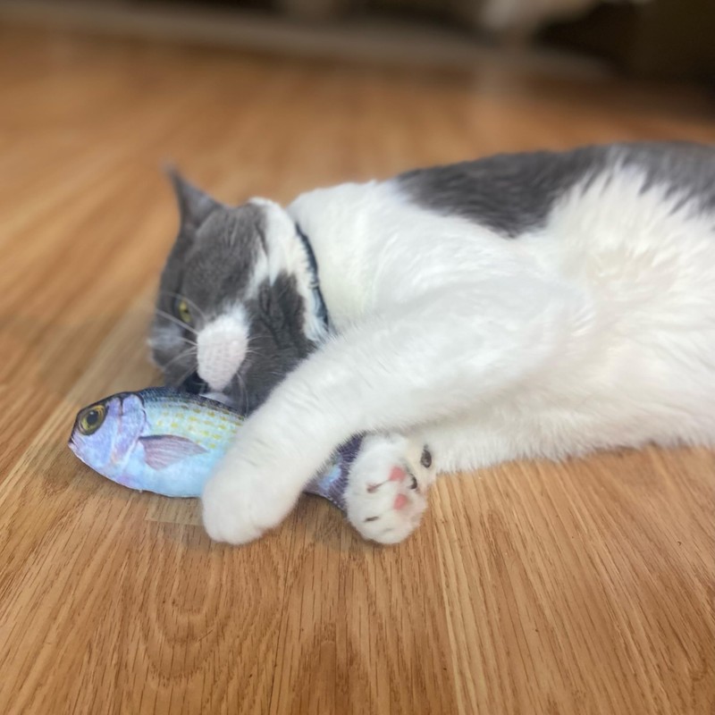 SPOT Fanatic Fish - Plush Cat Toy with Catnip and