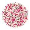 Mystic Sprinkles Celebration Sprinkle Mixes (Her 1st Communion in Silver