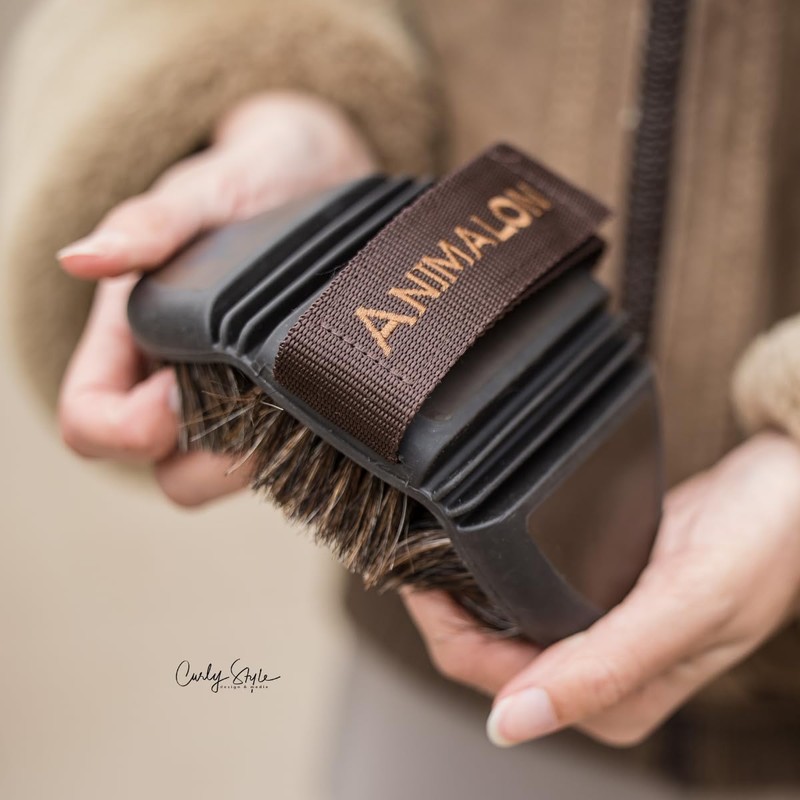 Animalon Starter Set Horse Grooming Brush Set | Basic Equipment