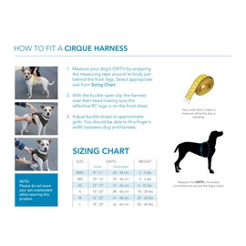 RC Pet Products Cirque Soft Walking Dog Harness: XXSmall Black