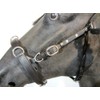 PS Pferdeartikel VARIADO 5-Way Adjustable Leather Cavesson - Anatomically Soft
