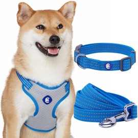 Blueberry Pet Essentials Reflective Dog Harness & Leash & Collar Set, French Blue, Adjustable Dog Collar for Small Dogs, Puppy Essentials, Medium/Large Dog Harness, Cat Leash & Harness Set