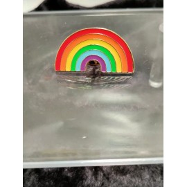 Unbranded Florida Rainbow Pin