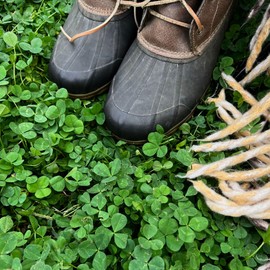 Micro Clover Seed for Lawn - 1 Oz - ~25,000 Microclover Seeds for Planting - Drought-Tolerant Mini Grass Alternative by Mountain Valley Seed Company