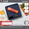 Taylor Digital Kitchen Scale with Antimicrobial Surface Plastic Body Weighs