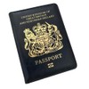 Panther New RFID Blocking British Blue Passport Cover Holder Brexit