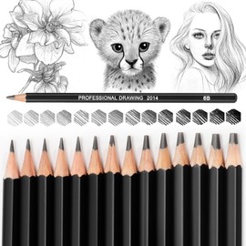 Blendura Drawing Pencils Professional Set, 14 Pencils Drawing Set 12B 10B 8B 7B 6B 5B 4B 3B 2B B HB 2H 4H 6H Writing Healthy Environmental Protection Non-Toxic Pencils Set for Adults Artists