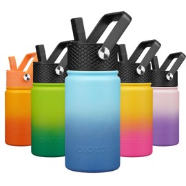 BJPKPK Insulated Water Bottle with Straw Lid, 15oz Cute Water Bottles, Stainless Steel Metal Thermos, Reusable BPA Free Leak Proof Tumblers, Cups,Sky