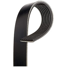 Gates K070807A Automotive V-Ribbed Belt (Standard)