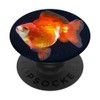 Fancy Goldfish Tank Bubble Eye Goldfish For Sale Ryukin