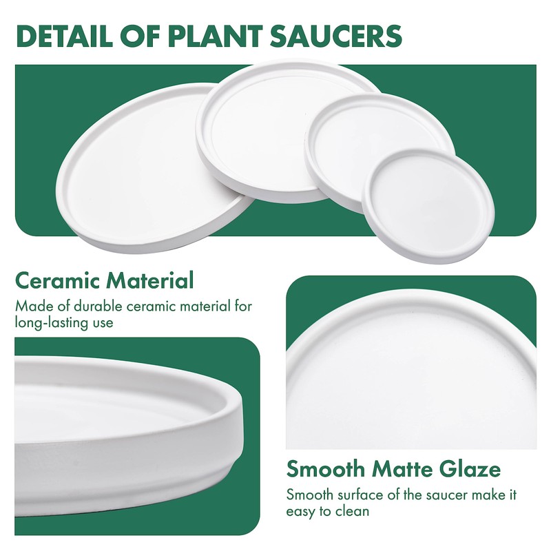 D'vine Dev Modern Round 6 Inch Ceramic Plant Pot Saucer,