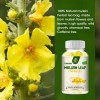 Mullein Leaf Capsules Vegan Natural Dietary Supplement For Lung Cleanse