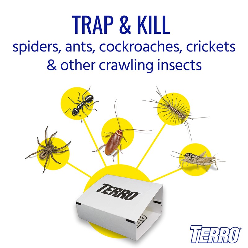 TERRO Spider & Insect Trap T3206-10 - Pack of 10