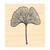 P129 Ginkgo Biloba Leaf Rubber Stamp