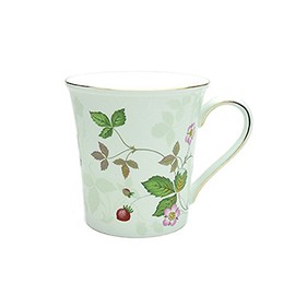 Wedgwood Wild Strawberry Pastel Beaker Green