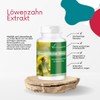 Dandelion Extract 750 mg - 180 Tablets - For 6