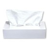 DE Healthcare Products Facial Tissues (1000 Pieces) 2 Ply Tissues