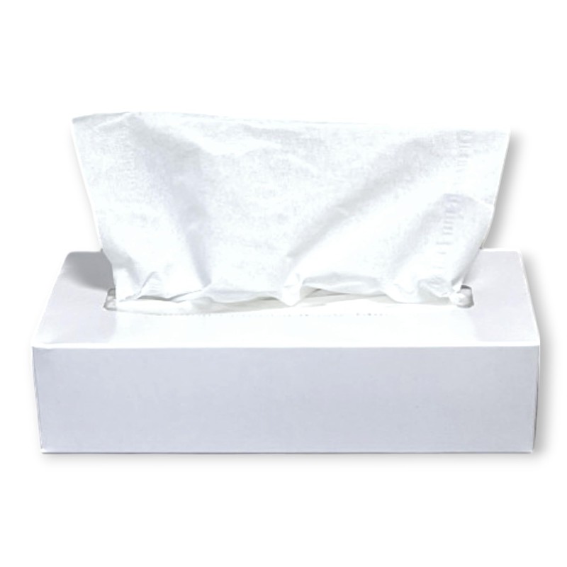 DE Healthcare Products Facial Tissues (1000 Pieces) 2 Ply Tissues