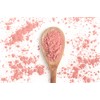 100 g Acerola Pulver | Superfood | Vitamin C (28,1%)