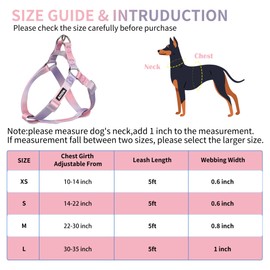 AIITLE Step-In Dog Harness and Leash Set - No Pull Pet Adjustable Halter Harness with A 5FT Leash - Double D ring - Easy Walk Running Training for Large Breed Dogs,Pink-Purple Gradient L