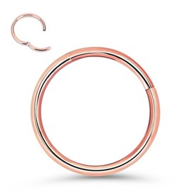 Anillos de nariz de titanio de 20 g, 18 g, 16 g, anillos de nariz para tabique, anillo de segmento con bisagras, cartílago, hélice, tragus, concha, Daith Rook, diámetro de 5 mm a 12 mm, anillo de aro de oro rosa, negro, Titanio, Sin gemas.
