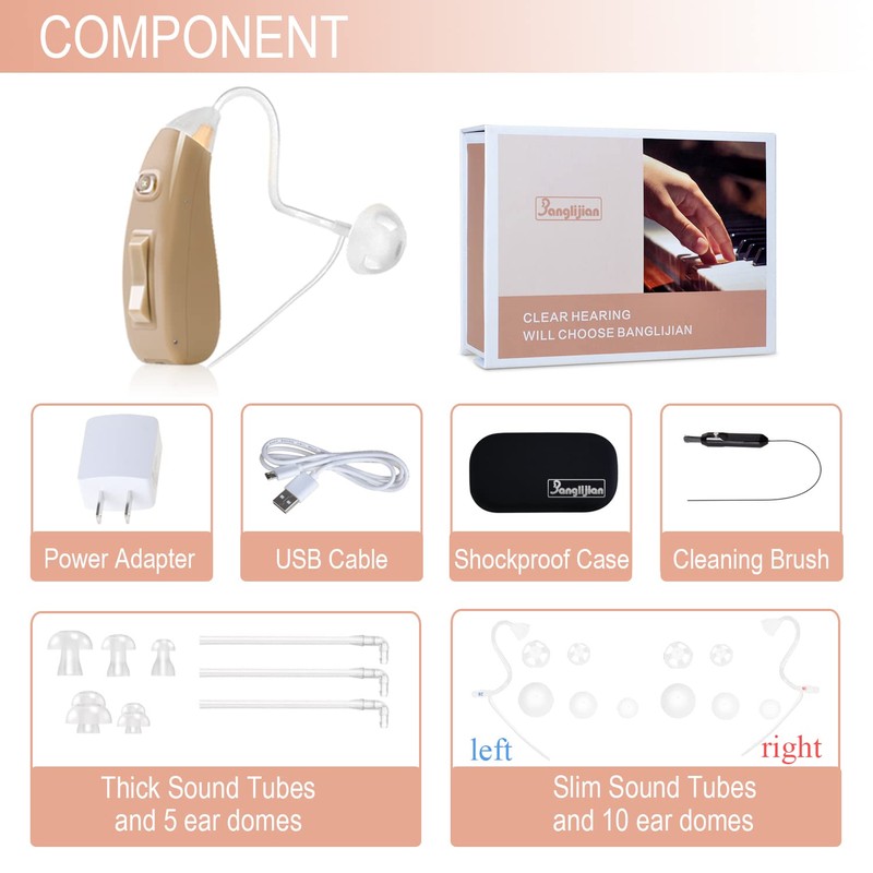 Banglijian Hearing Aid Ziv-201A Rechargeable Digital Noise Cancelling Small Size
