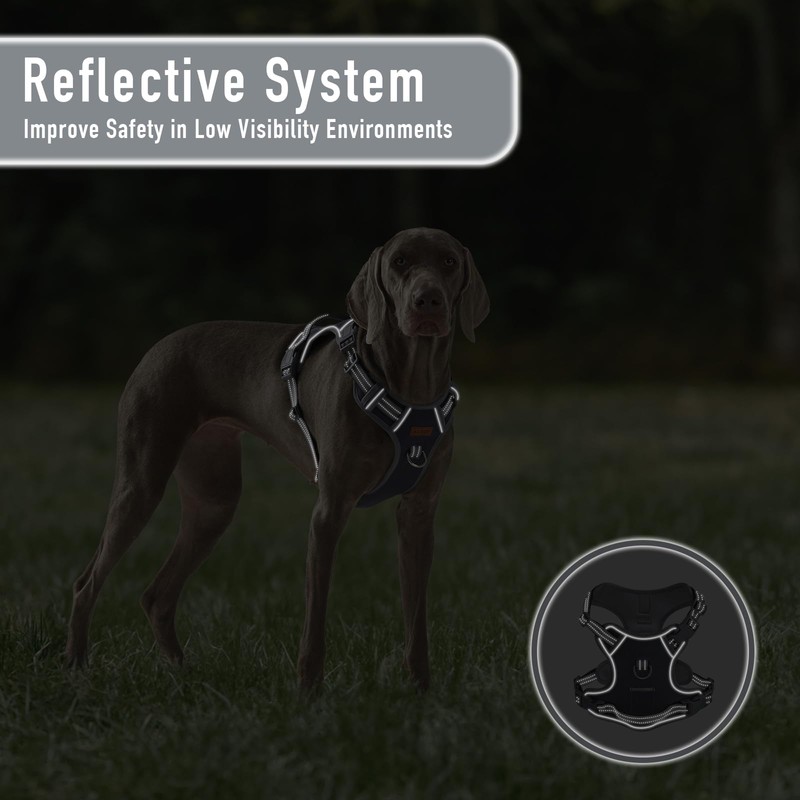 AUNZO No-Pull Adjustable Dog Harness for Small Dogs,Easy Control with