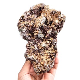 VIZYTOU Natural Chalcopyrite Rock Specimens Symbiosis Red Crystal Quartz Rough Mineral Stone Collection Crystal Gifts 1.1-1.5 Pound