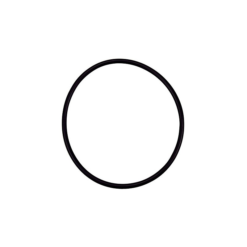 Pentair 355227 Buna N 70 O-Ring Replacement Pool and Spa