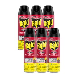 Raid Ant & Roach Killer Lemon Scent, 17.5 OZ (6)