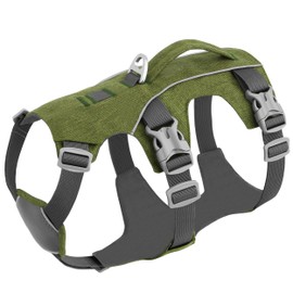 AKAILEA Escape Proof Dog Harness with Handle - Reflective No Pull Dog Vest, Lightweight Full Body Pet Harness Adjustable for Small Dogs Walking,Training(Green,Chest:14-22")