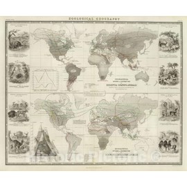 Historic Map : Physical Atlas Map, Rodentia, Ruminantia. 1856 - Vintage Wall Art - 44in x 37in