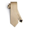 HISDERN Champagne Ties for Men Classic Formal Wedding Tie and