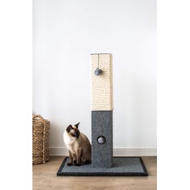 Catry Cat Scratching Post - Minimalist Style Design of Cat Tree Scratch Post with Kitten Playful Toy Allure, Good for Pets to Practice Their Claws, Multiple Size Choices