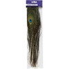 Peacock feathers, L: 25-30 cm, 10 pcs